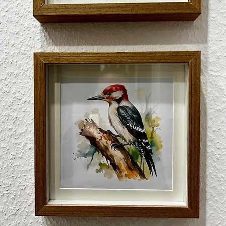 Apartamento Spechthoehle -